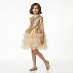 Kız Çocuk Payetli ve Kat Kat Tüllü Doğum Günü Abiye Elbise 94304