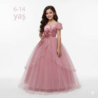Çocuk Abiye Elbise 14265735